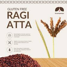 Raggi Atta (100% Pure Finger Millet Flour) – Healthy & Gluten-Free | Local Fresh 2 Raggi Atta (100% Pure Finger Millet Flour) – Healthy & Gluten-Free | Local Fresh - Image 2